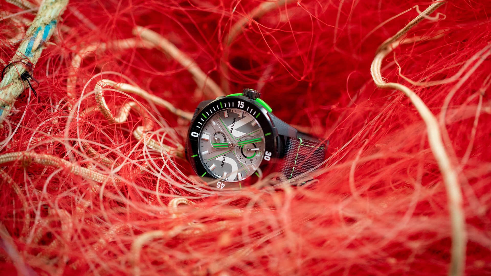 Diver Net