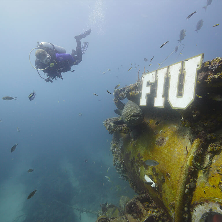 FIU