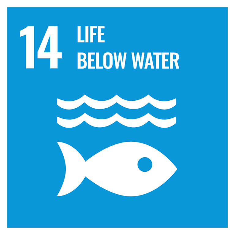 Logo Life Below Water