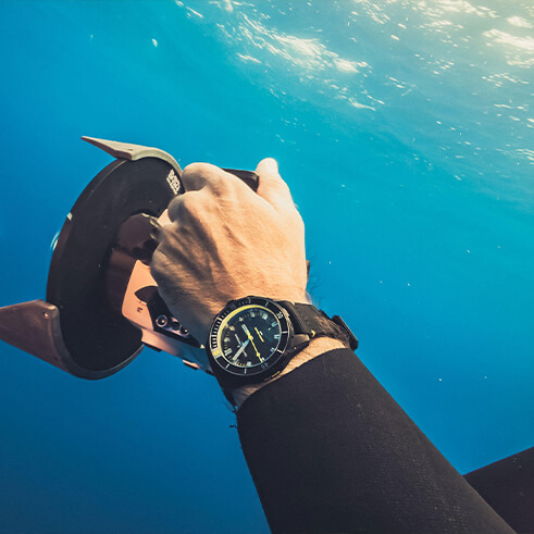 Diver 42mm Lemon Shark