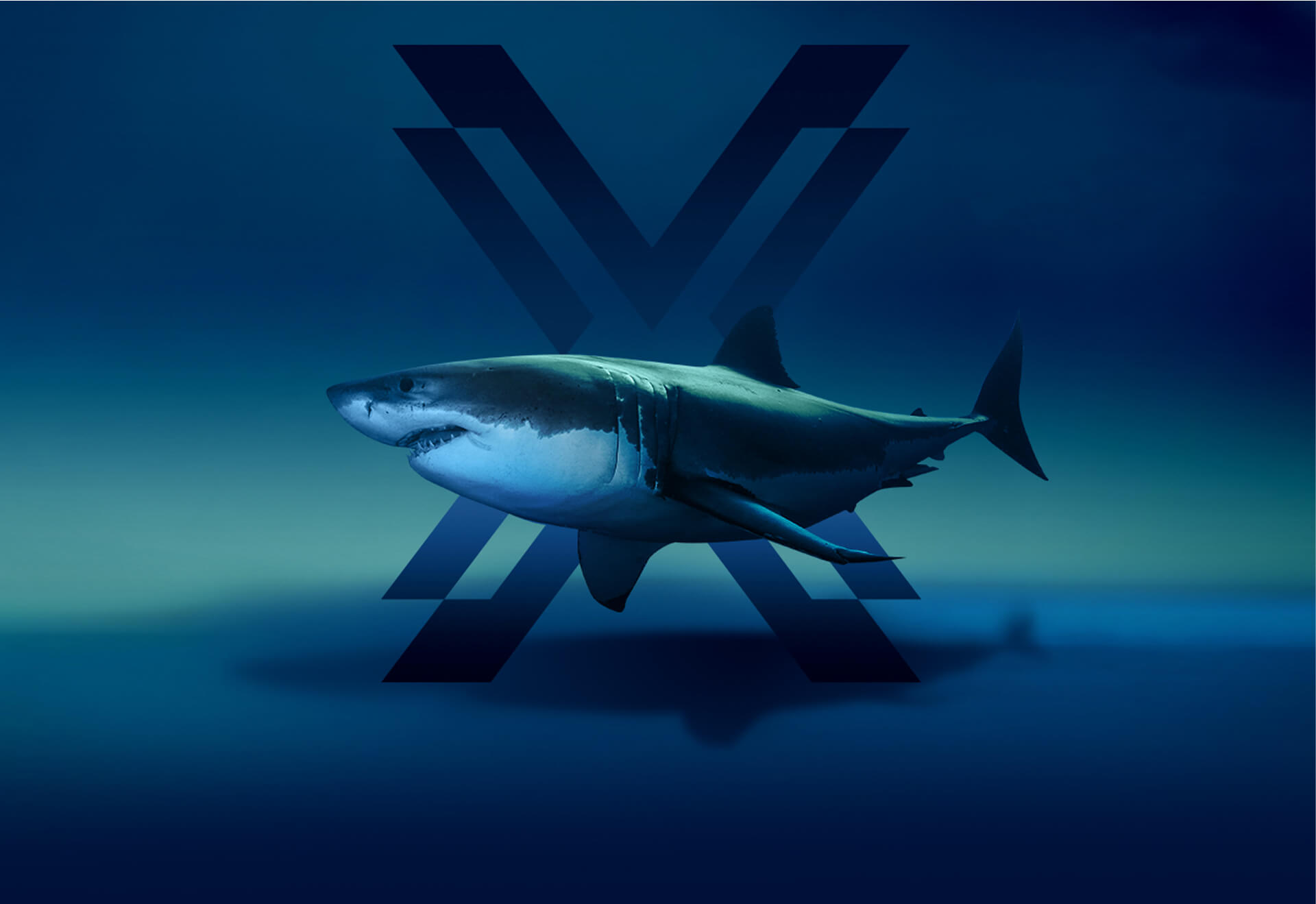 Shark with X