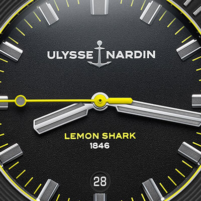 Diver Lemon Shark